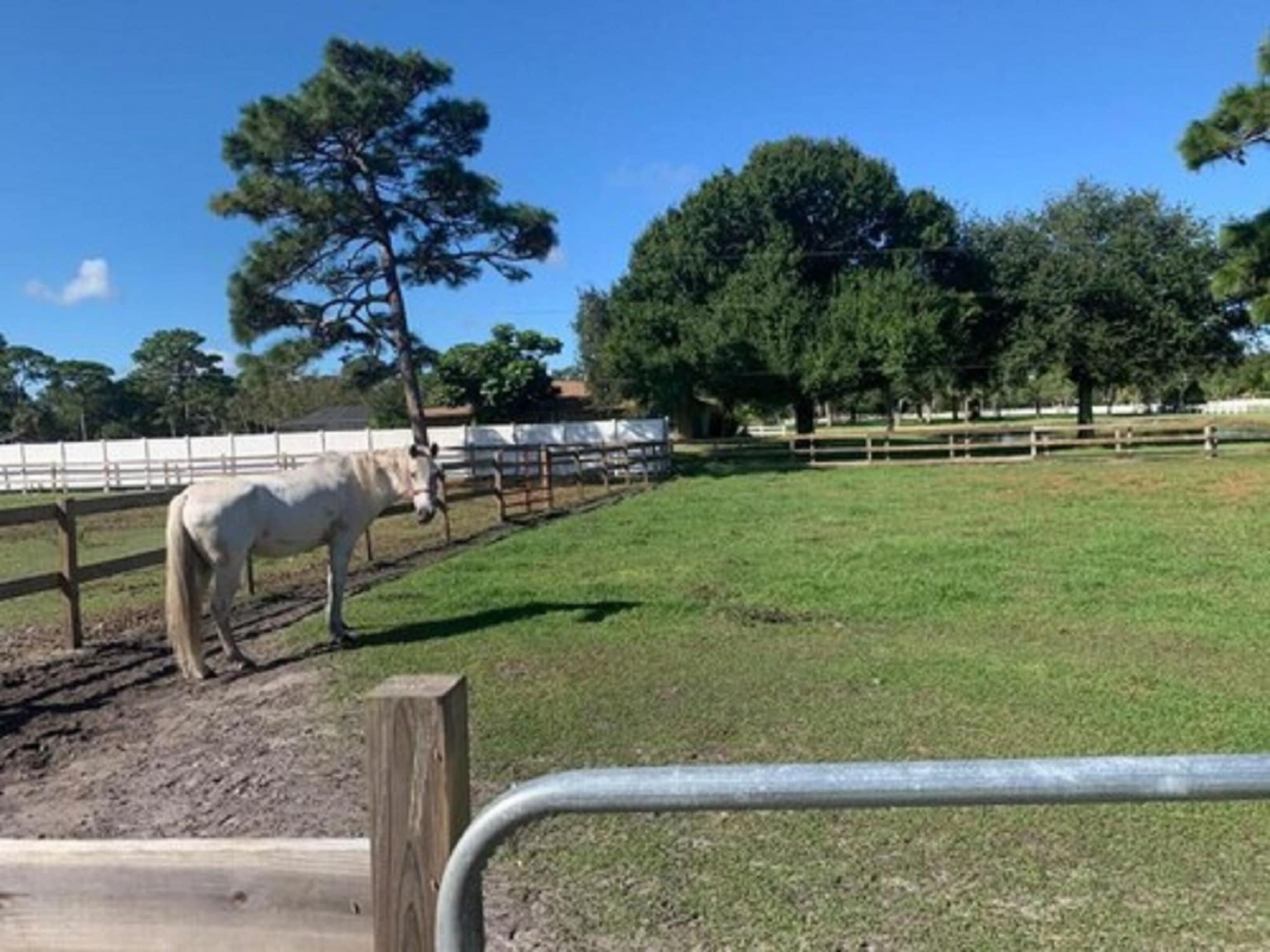 Oyo Family Ranch At Melbourne Fl Hotel ภายนอก รูปภาพ